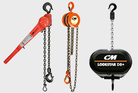 Picture for category Hoists