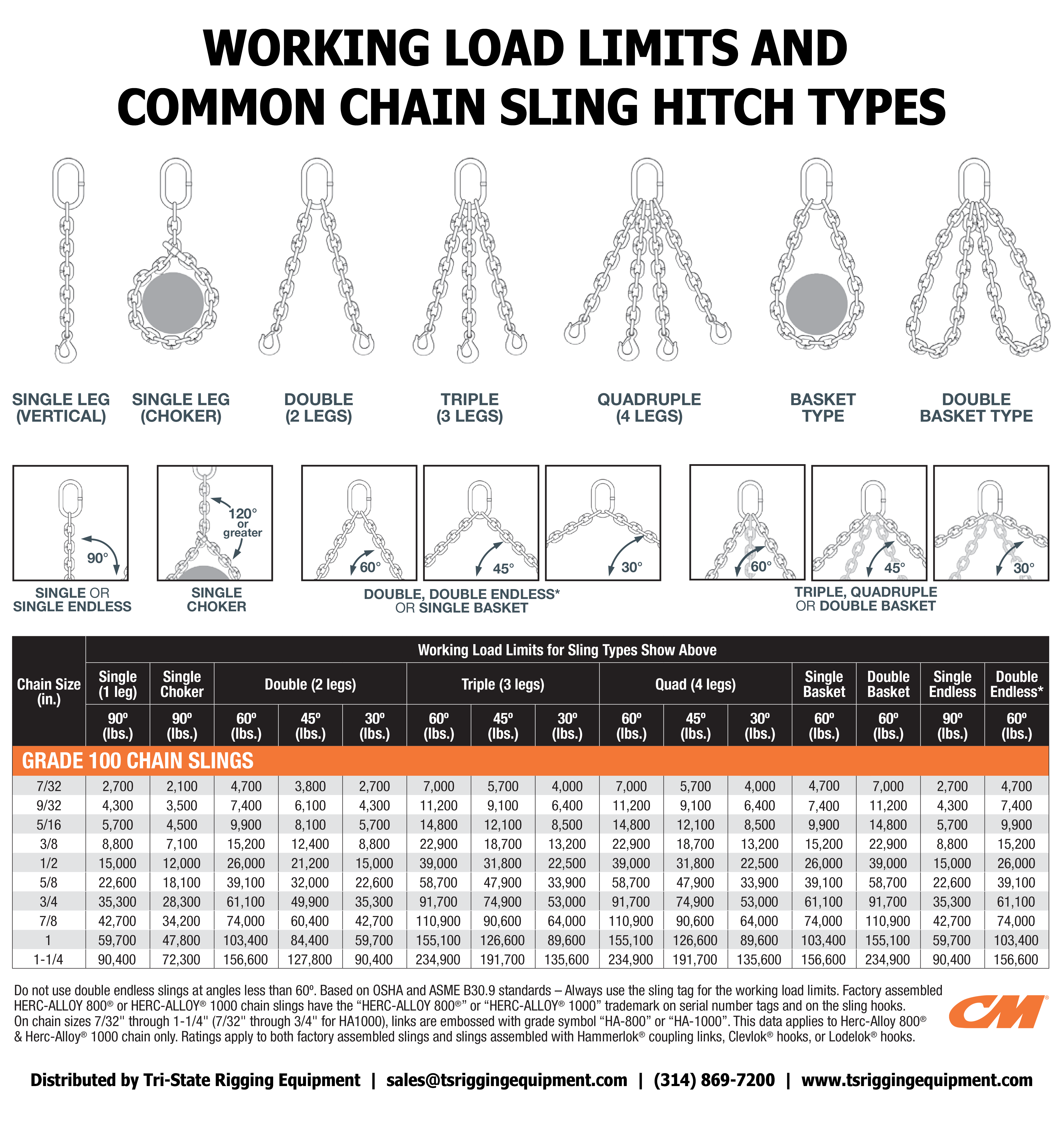 17 Ton Capacity, 3/4 in. SingleLeg, Grade 100, Mechanical Chain Sling